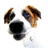 vibse's Avatar