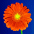 superMclone's Avatar