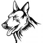 RexyTheDog's Avatar