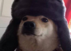 marinated's Avatar